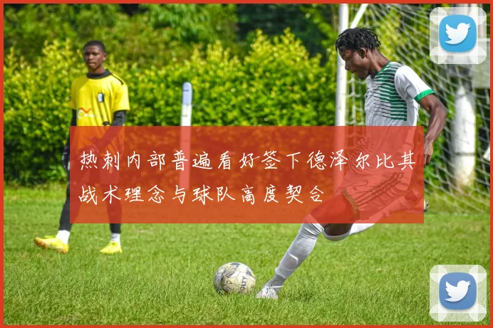 热刺内部普遍看好签下德泽尔比其战术理念与球队高度契合